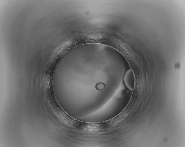 X0000094220758200711021139