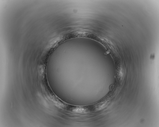 X0000094220759200711021139