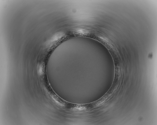 X0000094220760200711021139