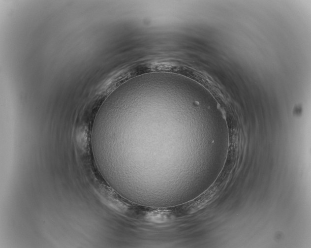 X0000094220761200711021139