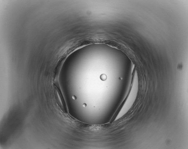 X0000094220762200711021139