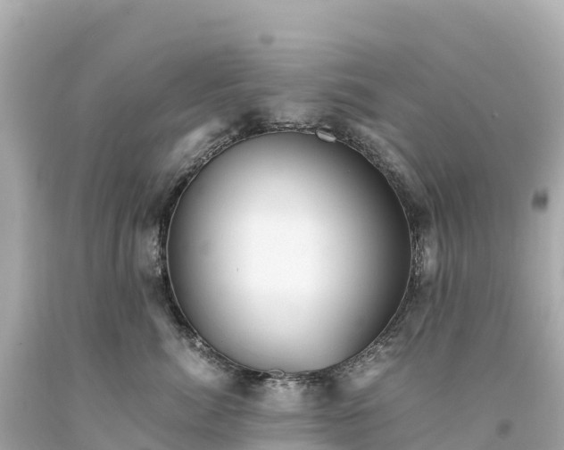 X0000094220764200711021139