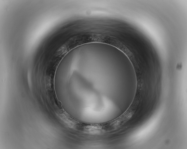 X0000094220765200711021139