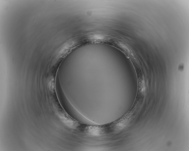 X0000094220766200711021139