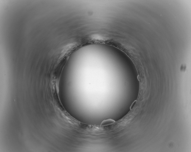 X0000094220768200711021139