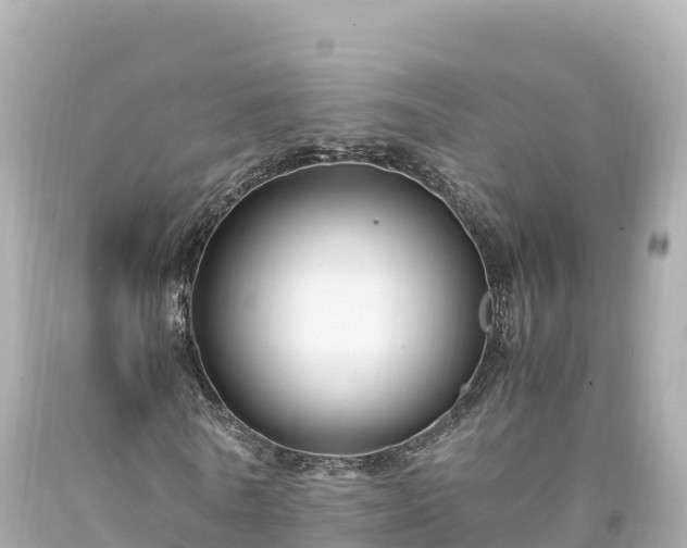 X0000094220770200711021138