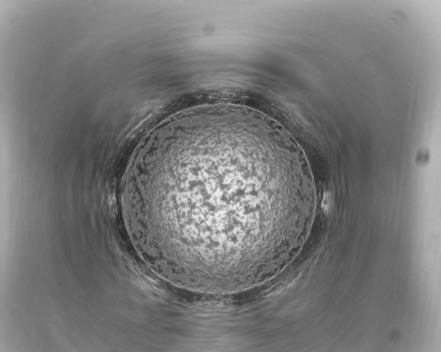 X0000094220771200711021138