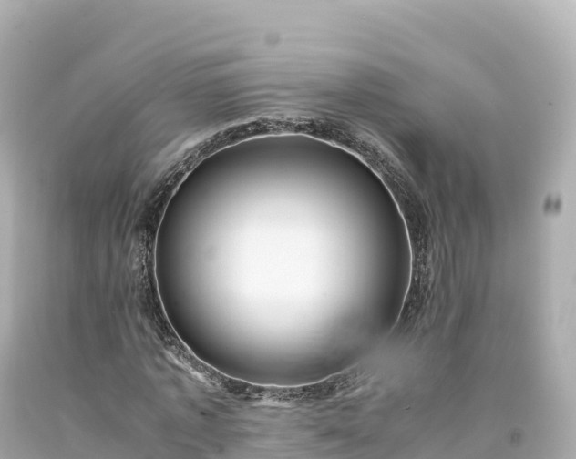 X0000094220773200711021138