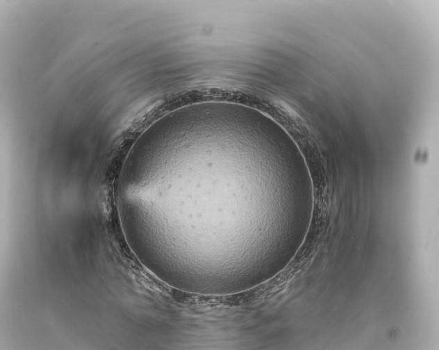 X0000094220774200711021138