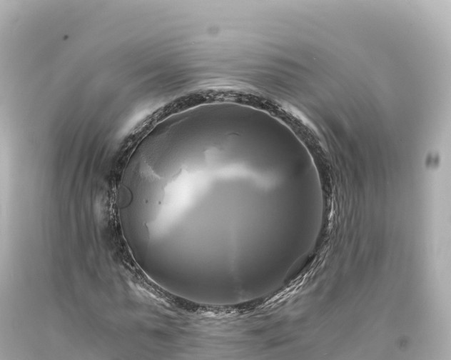 X0000094220775200711021138