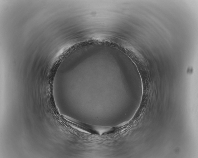 X0000094220776200711021138