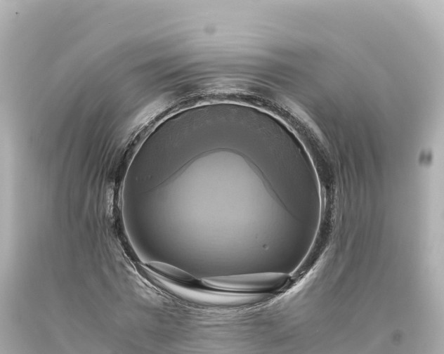 X0000094220777200711021138