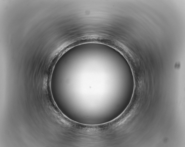 X0000094220778200711021138