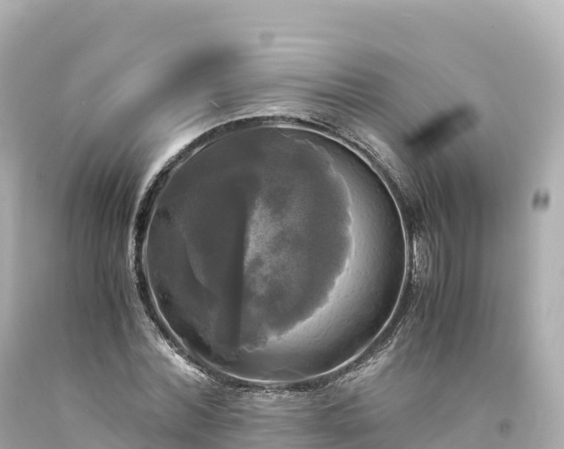 X0000094220780200711021138