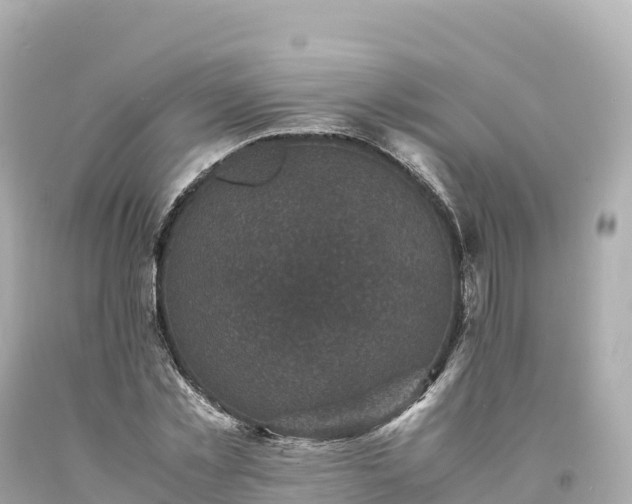 X0000094220781200711021138