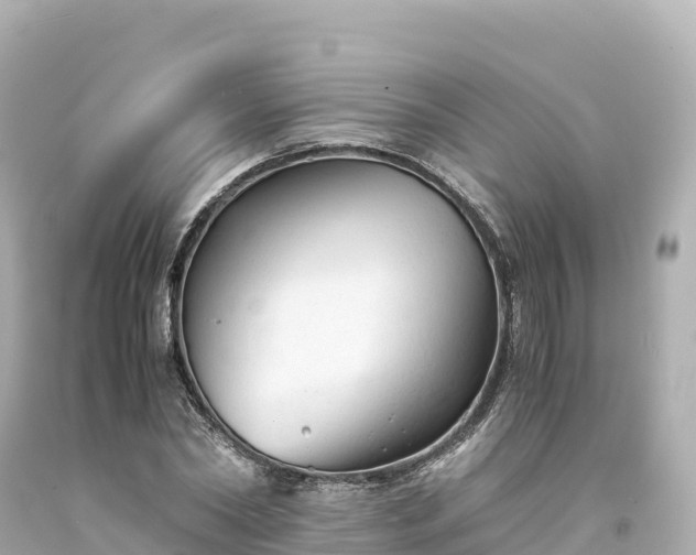 X0000094220782200711021138