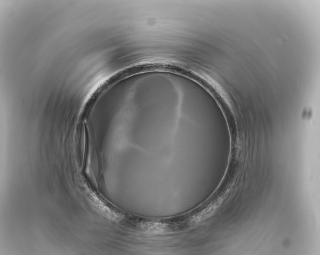 X0000094220783200711021138