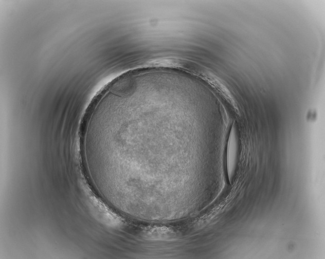 X0000094220784200711021138