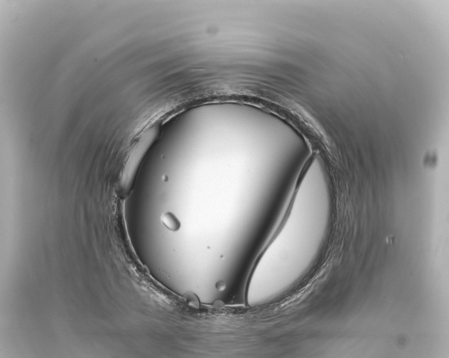 X0000094220785200711021138