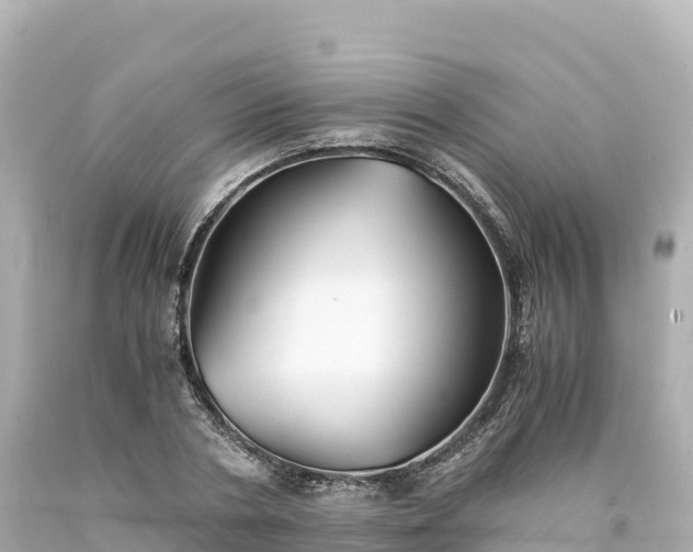 X0000094220786200711021138