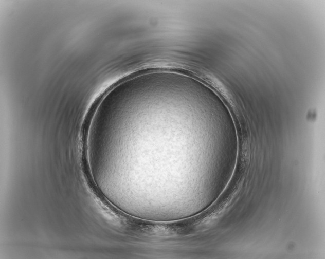 X0000094220787200711021138