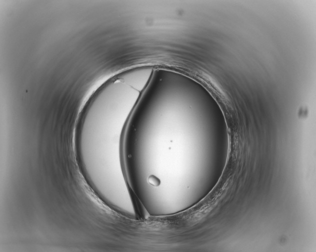 X0000094220788200711021138