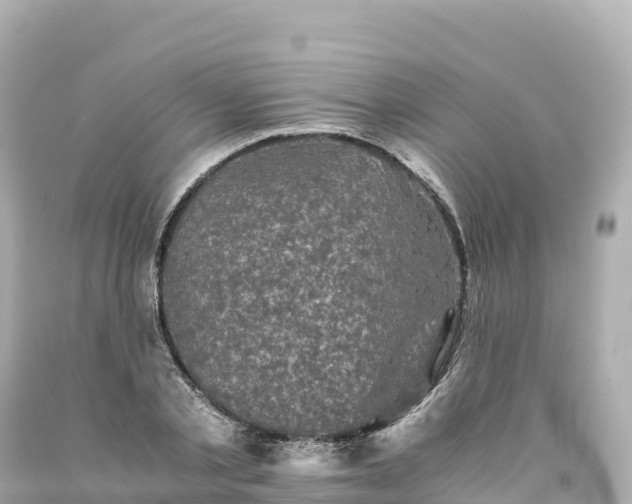 X0000094220789200711021138