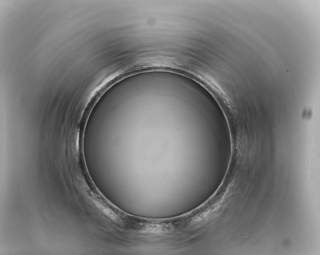 X0000094220790200711021138