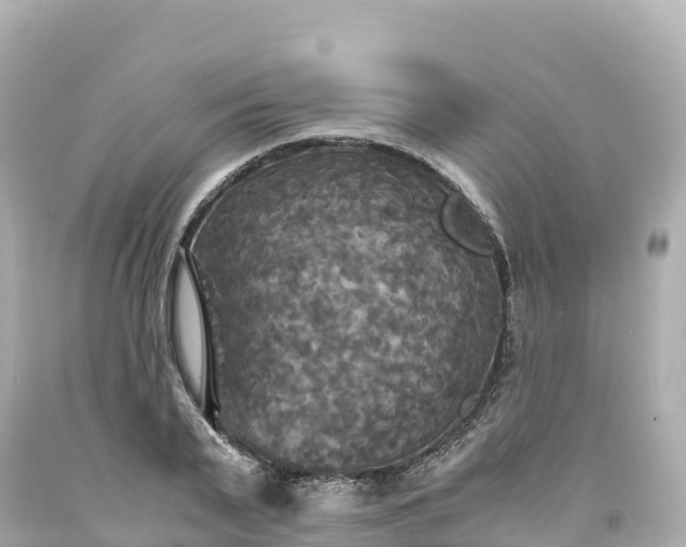 X0000094220791200711021138