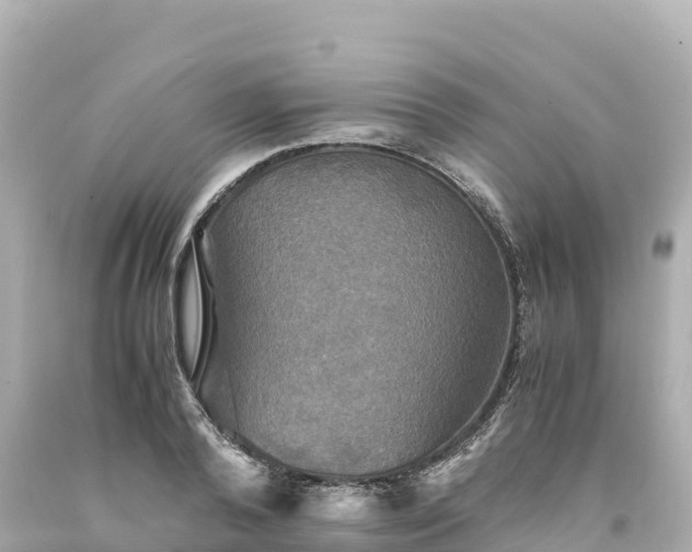 X0000094220792200711021138