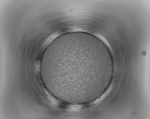 X0000094220793200711021138