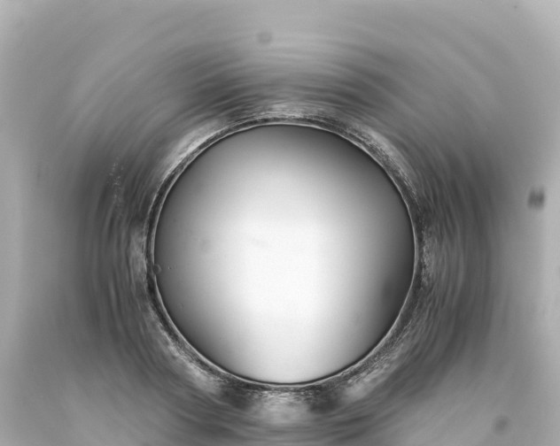 X0000094220794200711021138