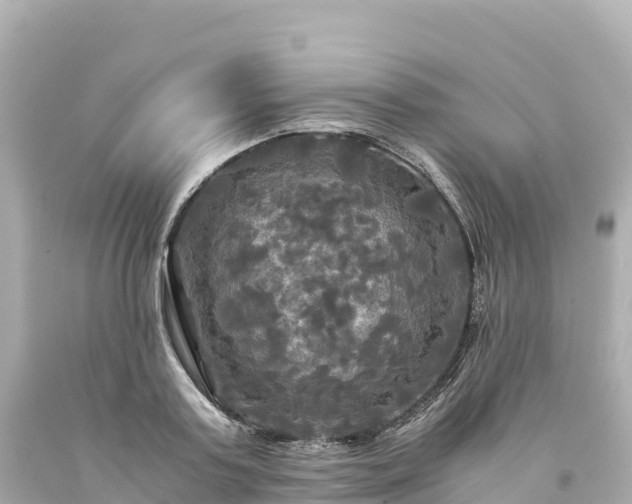 X0000094220795200711021138