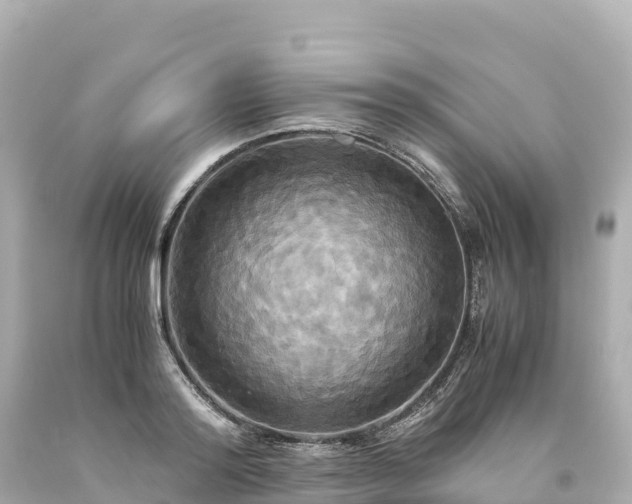 X0000094220796200711021138