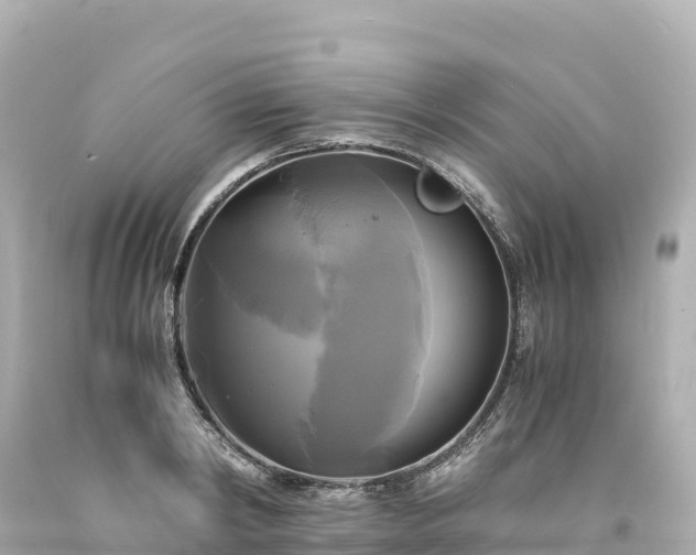 X0000094220798200711021138