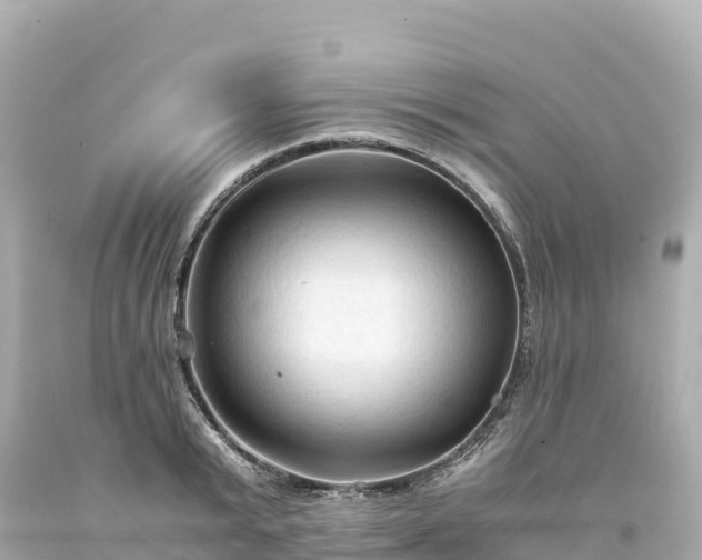 X0000094220799200711021138