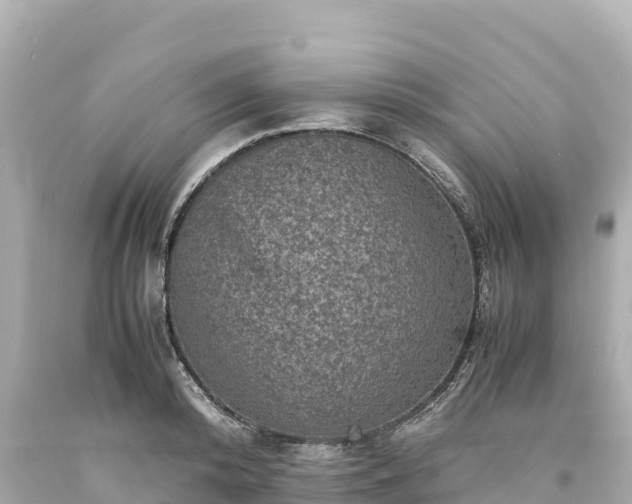 X0000094220800200711021138