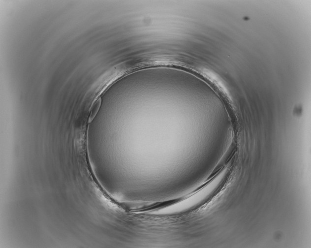 X0000094220801200711021138