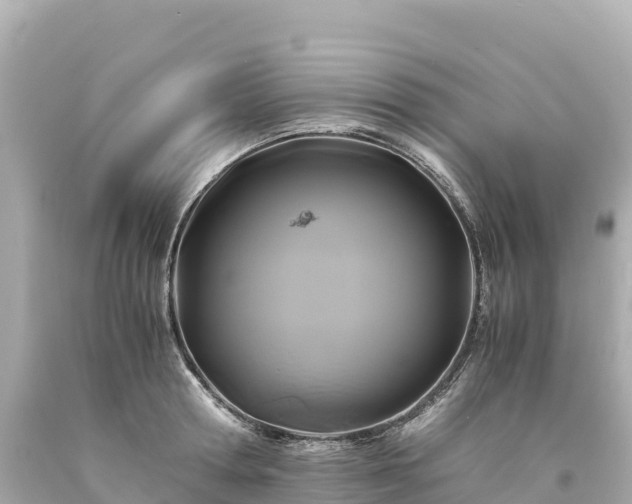 X0000094220802200711021138