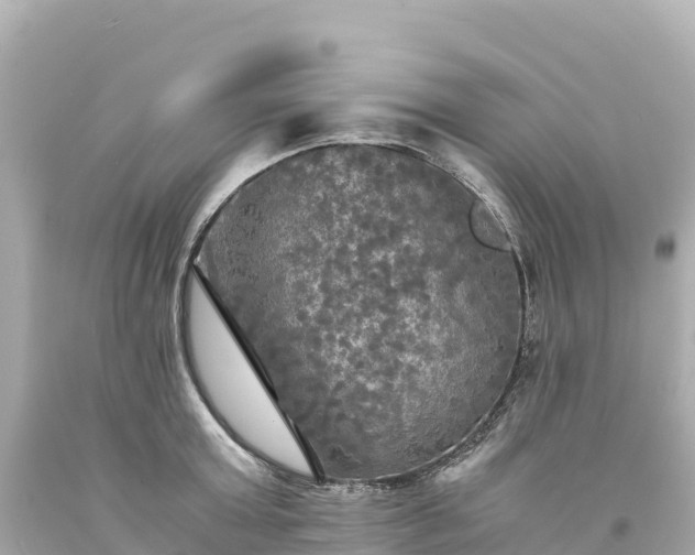 X0000094220803200711021138