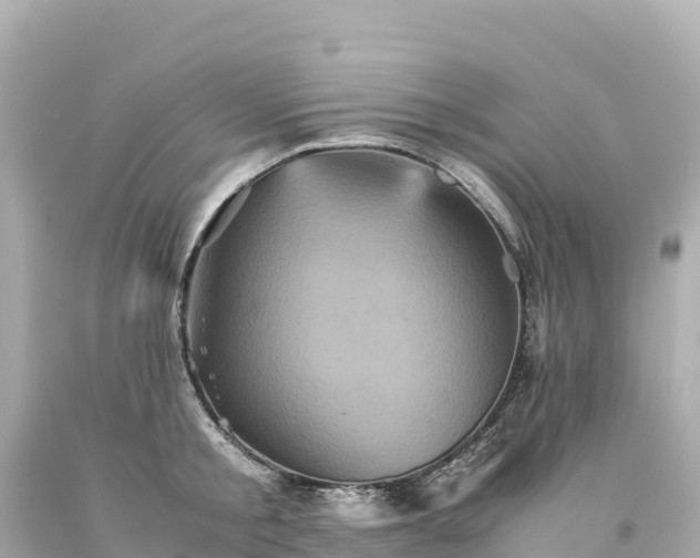 X0000094220805200711021138