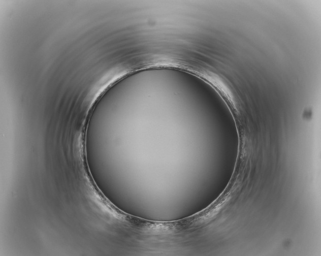 X0000094220806200711021138