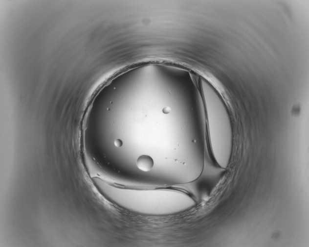 X0000094220807200711021138