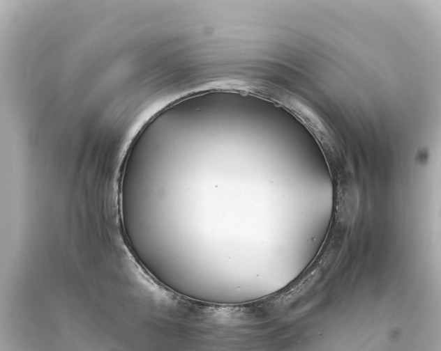 X0000094220808200711021138