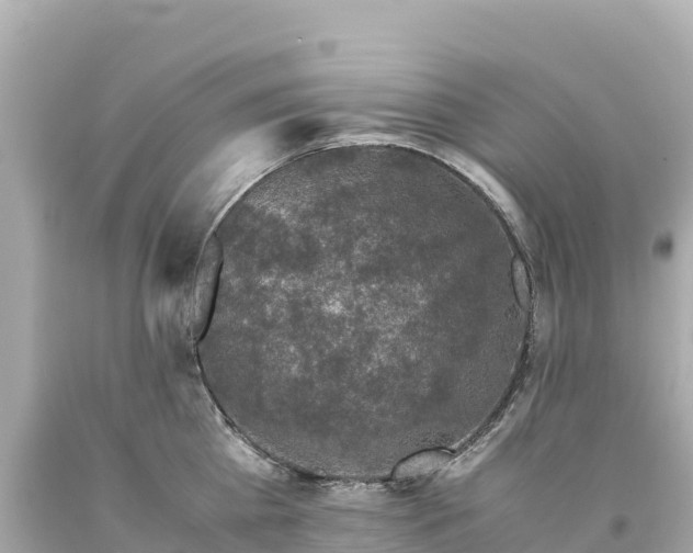 X0000094220809200711021138