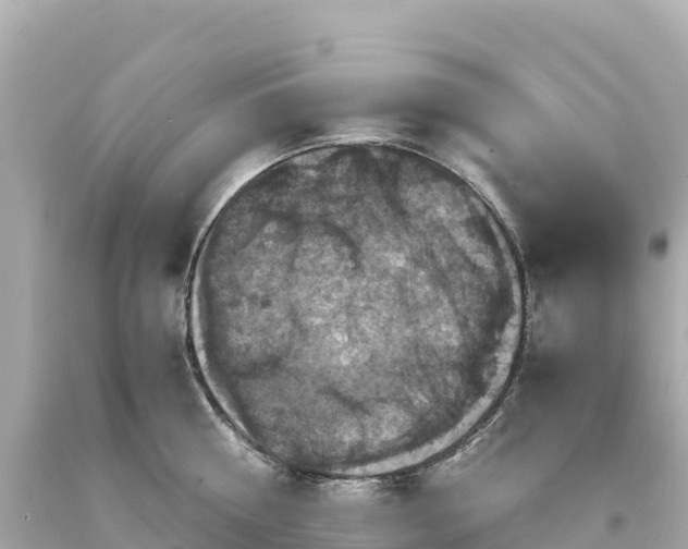 X0000094220810200711021138