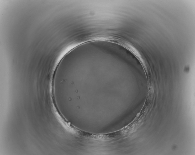 X0000094220811200711021138