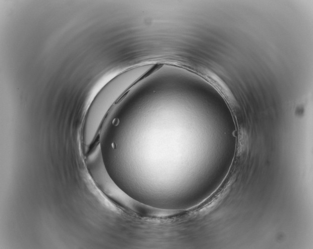 X0000094220812200711021138