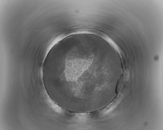 X0000094220813200711021138