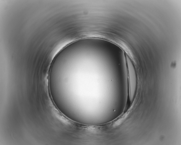 X0000094220814200711021138